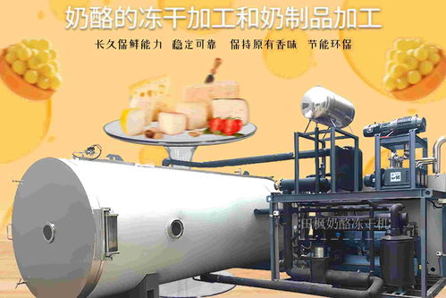 食品凍干機凍干技術 奶酪的持久美味與營養