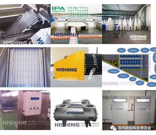 智能科技引領(lǐng)漁業(yè)新篇章 無(wú)人艇、增氧機(jī)、循環(huán)水與自動(dòng)喂料設(shè)備亮相現(xiàn)代漁業(yè)科技博覽會(huì)